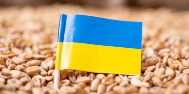 Ukrayna Büyükelçisi: Türkiye çalıntı tahıllarımızı satın alıyor