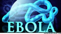 Ebola Gine’ye de Bulaştırıldı…