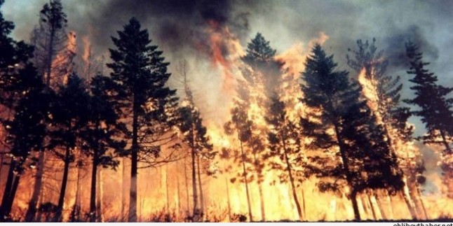 Rusya’da Orman Yangını: 4 Ölü, 70 Yaralı