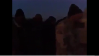 Video: Tikrit’te Cephede Akşam Namazı