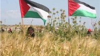 Filistin Halkı, Toprak Günü’nü Çeşitli Etkinliklerle Anmaya Hazırlanıyor.