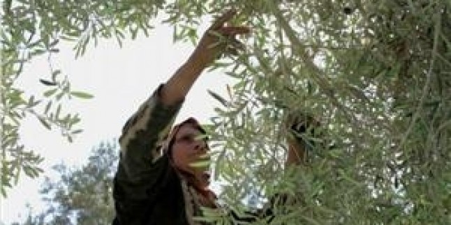 Filistinli Kadınlar Zor Şartlarda Yaşam Mücadelesi Veriyor