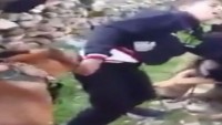 Köpekten Aşağı Olan İsrail Askerleri, Filistinli Bir Çocuğun Üzerine Köpek Saldırttı…