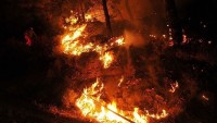 Ukrayna’da yangın Çernobil’e doğru ilerliyor