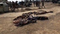 Irak ordusu Felluce kırsalında teröristlere pusu kurdu. 18 ölü