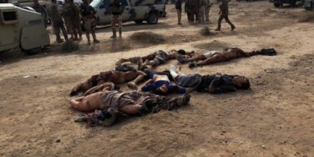 Irak ordusu Felluce kırsalında teröristlere pusu kurdu. 18 ölü