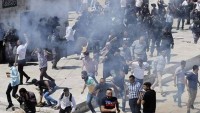66 Çatışma da Bir Filistinli Şehit Edildi, Bir İşgalci Geberdi!