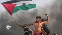 Filistinli direnişçi  gencin fotoğrafı, yılın fotoğrafı seçildi