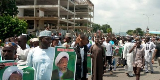 Nijeryalı öğrencilerden Şeyh Zakzaki’ye destek