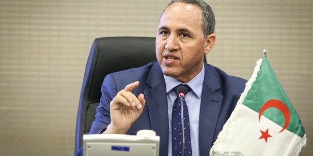 Cezayir Kültür Bakanı: Terörizmin oluşumuna yol açan etken boşluktur
