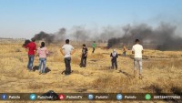 Gazze Sınırında İşgal Güçleri Filistinli Gençlere Saldırdı