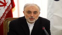 Salihi: İran’ın kudreti nükleer şehitlerin fedakarlığı sayesinde