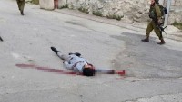BM Yetkilisi: İsrail Askerlerinin İnfazları Gayri Ahlaki ve Zalimce