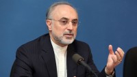 Salihi: Batılıların sorunu İran İslam İnkılabıyladır
