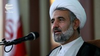 Zunnuri: İran’ın başarıları tüm dünyayı hayrette bırakmıştır
