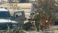 Filistinli kıza ateş açmayan İsrailli komando ordudan atıldı