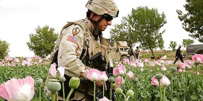 Afgan uzman: Afganistan’da uyuşturucu üretiminin artış sebebi Amerika’dır