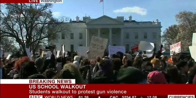 ABD’li öğrenciler silahlara karşı sokaklara çıktı