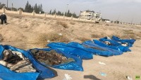 Suriye’nin Rakka bölgesinde 14. toplu mezar bulundu