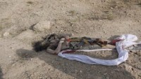 El Kaide’nin Elebaşlarından Seyfullah Ahtar Öldürüldü