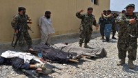 Afganistan’da 120’yi aşkın Taliban ve IŞİD üyesi öldürüldü
