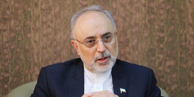 Salihi: İran İslam Cumhuriyeti tedbirli davrandı ve kendini daha yüksek konuma yerleştirdi