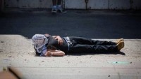 İsrail Tarım Bakanı: Filistinlilerin Yeterince Kanı Akmıyor