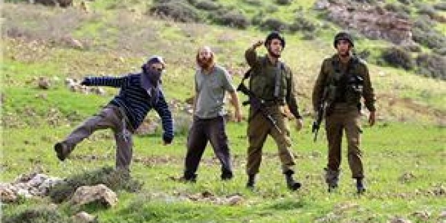 Rapor: “İsrail Filistin Topraklarının %85’ini Gasp Etti”