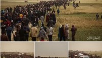 Gazze Sınırında Düzenlenen Barışçıl “Milyonluk Toprak ve Dönüş Yürüyüşü” Gösterilerine Müdahalesinde 2 Filistinli Şehid Oldu 254 Filistinli de Yaralandı