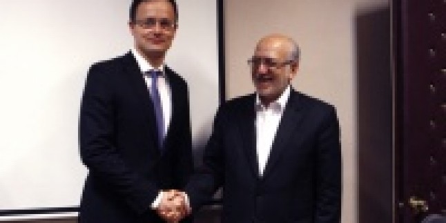 Macaristan Dışişleri ve Ticaret Bakanı, Nimetzade ile görüştü