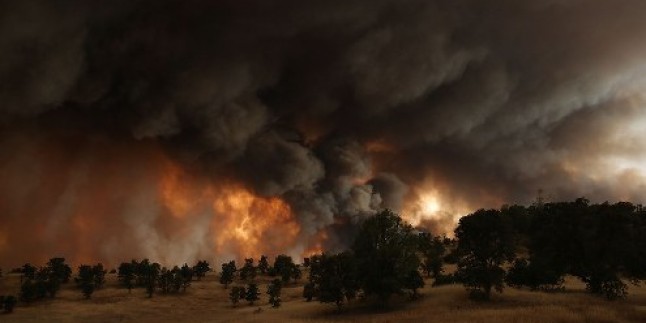 Kaliforniya’da orman yangını 54 bin dönüm araziyi kapladı