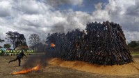 Kenya’da binlerce silah yakıldı