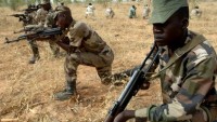Nijer ordusu 30 Boko Haram üyesini öldürdü