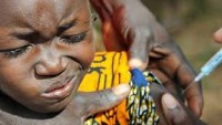 Nijerya’da menenjit salgını: 489 ölü