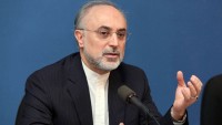 Salihi: İran KOEP öncesi duruma dönme yeteneğine sahiptir