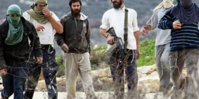 Filistinli Gençler Yahudi Yerleşimcilerin Kaçırdığı İki Çocuğu Kurtardı ​