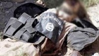IŞİD Teröristlerine Yönelik İç Tasfiyeler Sürüyor