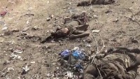 Suud’un Taiz’e Düzenlenen Bombardımanında 12 Yemenli Hayatını Kaybetti