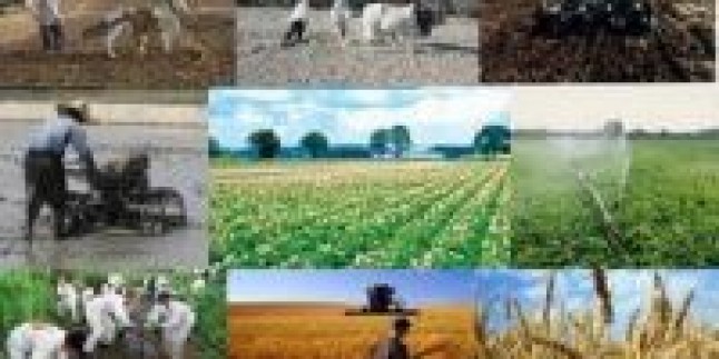 İran, Brezilya tarım arazilerini kiralıyor