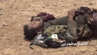 4 Üst Düzey El Kaide Lideri Yemen Hizbullahı Tarafından Öldürüldü