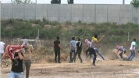 Tulkerem’de İşgal Güçleriyle Yaşanan Çatışmalarda 13 Filistinli Yaralandı
