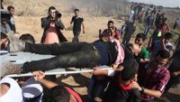 Siyonistler Han Yunus’un Doğusunda 2 Çocuğu Şehit Etti, 4 Kişiyi Yaraladı
