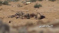 Yemen Hizbullahından Suud İşbirlikçisi Münafıklara Ağır Darbe: 39 Ölü